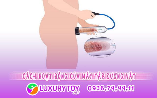 Cách hoạt động của máy tập “cậu nhỏ”