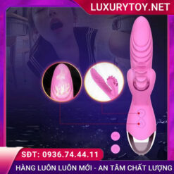 giới thiệu dibe hailey