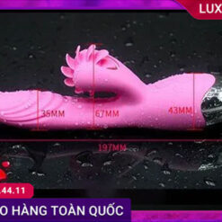 công dụng dibe hailey