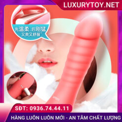 leten cha cha fairy exciting kích thích thông minh