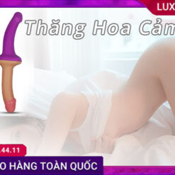 chuẩn bị lovetoy holy dong 2