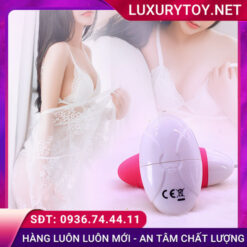 giới thiệu lovetoy joy