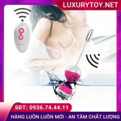 giới thiệu nalone miu miu