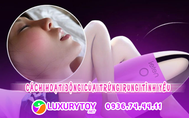 Nguyên lý hoạt động của trứng rung cho nữ