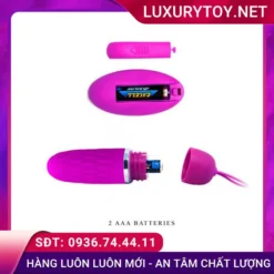 Trứng rung tình yêu Prettylove Dawn vệ sinh đúng cách