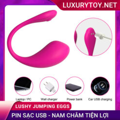 Cấu tạo và công dụng của Trứng rung Lushy Jumping Eggs massage điểm G và cô bé