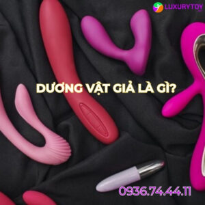 Dương vật giả là gì